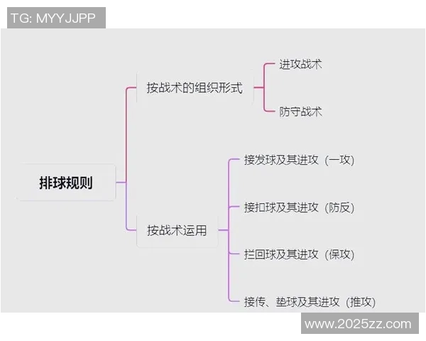 广州排球队灵活性对比分析揭示战术优势与发展潜力 广州排球队灵活性对比分析揭示战术优势与发展潜力