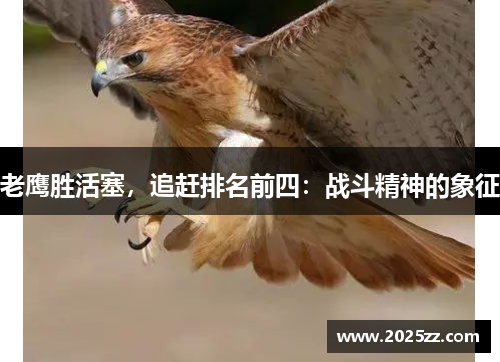 老鹰胜活塞，追赶排名前四：战斗精神的象征